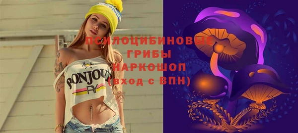 мескалин Арсеньев