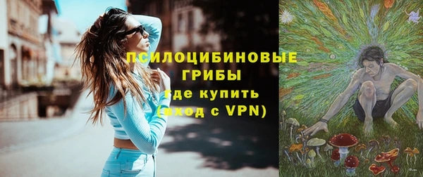 молекула духа Аркадак