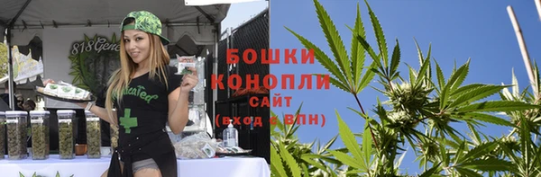 молекула духа Аркадак