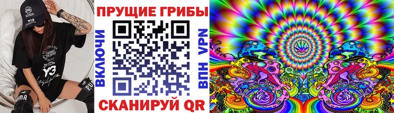 Купить  Вольск  Галлюциногенные грибы прущие грибы 